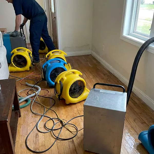 Water Mitigation Services in San Buenaventura, CA