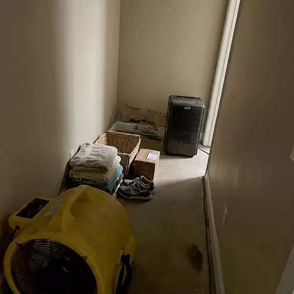 Expert Water Remediation in San Buenaventura, CA 